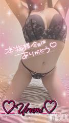 新潟デリヘル奥様特急 新潟店(オクサマトッキュウニイガタテン) うるみ(35)の3月29日写メブログ「お礼♡本指名K様」