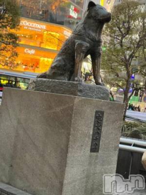 新潟デリヘル 奥様特急 新潟店(オクサマトッキュウニイガタテン) うるみ(35)の2月4日写メブログ「いっぬ」