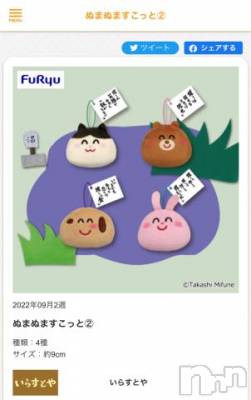 新潟デリヘル 奥様特急 新潟店(オクサマトッキュウニイガタテン) うるみ(35)の9月9日写メブログ「ほ、ほしい……」