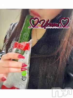 新潟デリヘル 奥様特急 新潟店(オクサマトッキュウニイガタテン) うるみ(35)の4月29日写メブログ「ぺろりんちょ」
