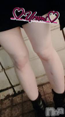 新潟デリヘル 奥様特急 新潟店(オクサマトッキュウニイガタテン) うるみ(35)の5月11日写メブログ「[お題]from:絶賛5月病さん」