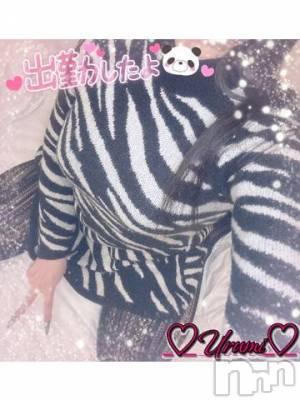 新潟デリヘル 奥様特急 新潟店(オクサマトッキュウニイガタテン) うるみ(35)の3月19日写メブログ「よっし！」