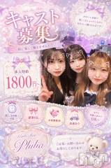 🦋.*˚キャスト大募集🦋