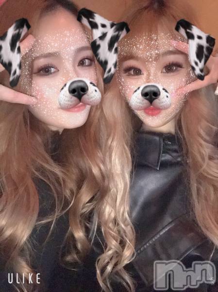 ʥå륺СGirls Bar Philia(륺Сեꥢ)  2022ǯ52̥֥֥ǥ󥦥
