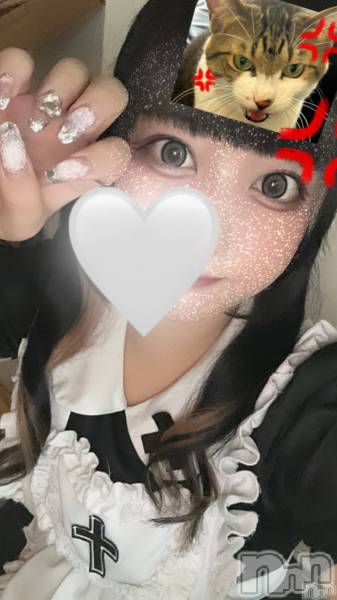 ʥå륺СGirls Bar Philia(륺Сեꥢ)  2024ǯ102̥֥13👑
