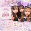 Girls Bar Philia 🦋.*������㥹�����罸🦋