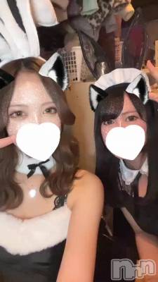 🐰