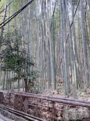 新潟ソープ 新潟バニーコレクション(ニイガタバニーコレクション) ユイユイ(23)の4月8日写メブログ「なーんだ🫣🫣」