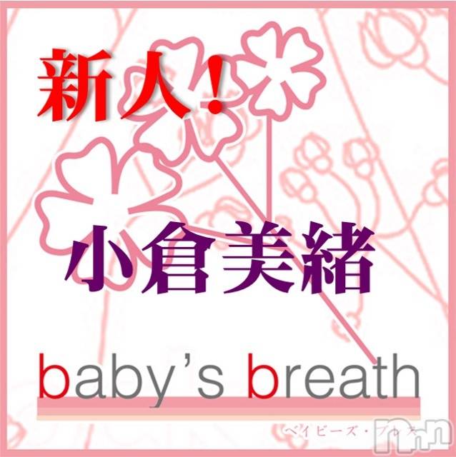 󥺥baby's breath(٥ӡ ֥쥹) 2021ǯ1116̥֥֤ˤʤߤˤǤ