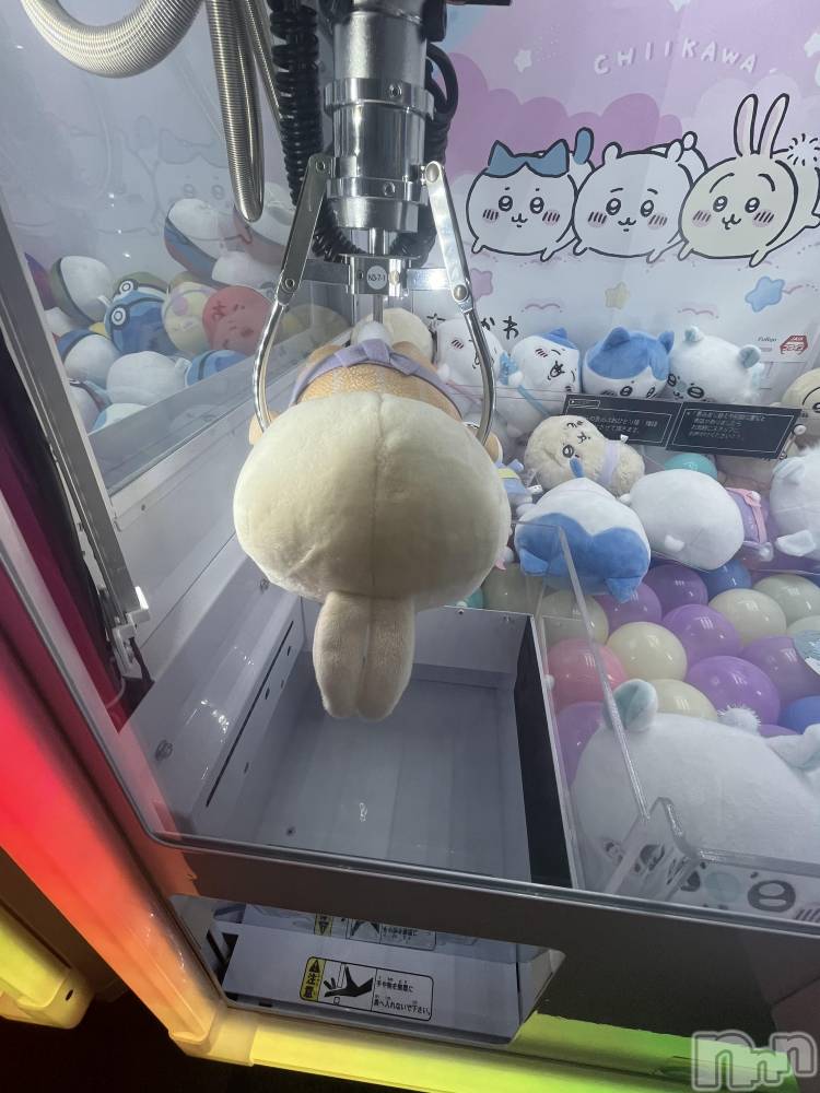 ʥå륺СVeronica-˥-(˥) 920̥֥Wednesday ☻