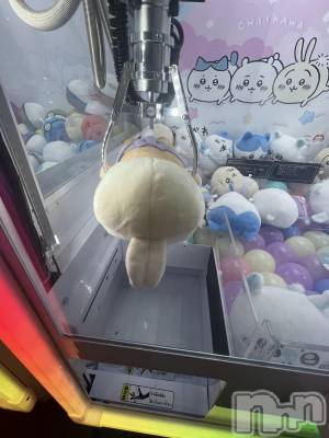 ʥå륺СVeronica-˥-(˥) 920̥֥Wednesday ☻
