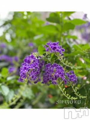 佐久発デリヘル 佐久上田人妻隊(サクウエダヒトヅマタイ) しずく(45)の9月1日写メブログ「新たに」