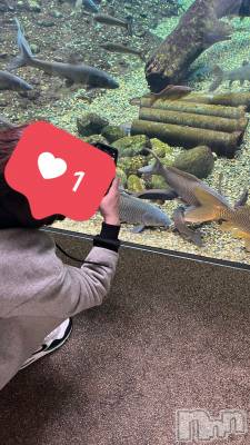 ƲХ顦THE LOUNGE (饦󥸥ե) 317̥֥֤ʤʤ🐟