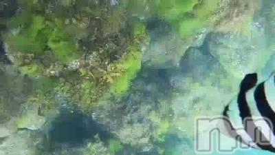 뎥🐠