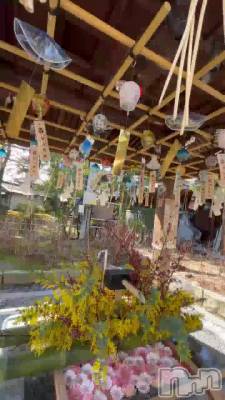 ��γ������