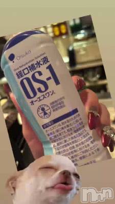 2���֡�������