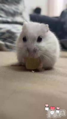ޤǤä☺️