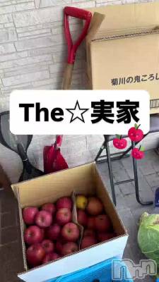 Ĺ��뤢��🍏🍎