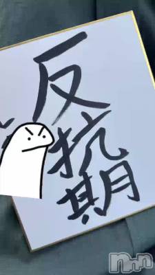 �̿��ϥ��᡼���Ǥ���