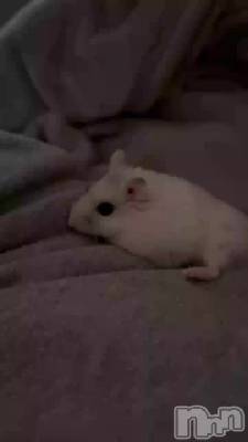 ♡♡