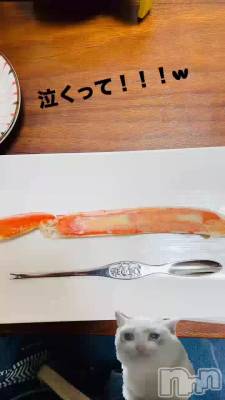 🦀🦀🦀🦀  ‪🥲‎