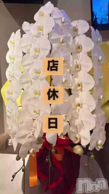320 1623ʬΥ֥