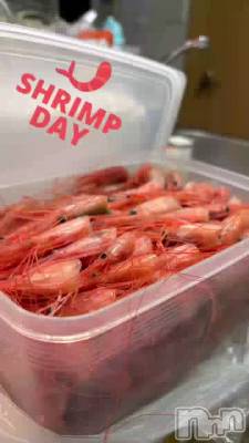🦐🦐🦐🦐🦐