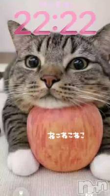 �ˤ��ˤ��ˤ��