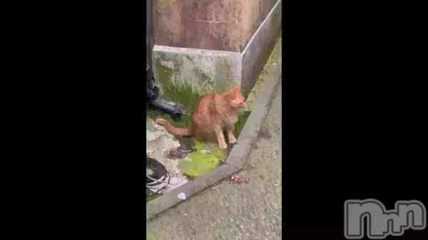 ֤ĤĤ&#x1F431;&#xF80;&#xF72;