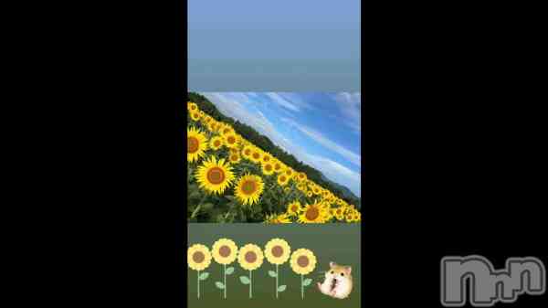 &#x22C6;&#x2E1C;&#x1F33B;&#x2E1D;&#x200D;&#x22C6;