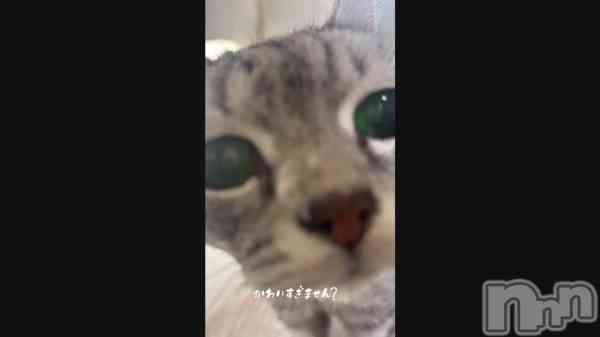 �֥ͥ���🩵��