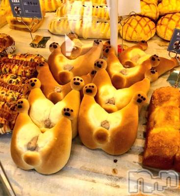長岡デリヘル フェイム長岡店　地元の子と会える！地域密着専門店(フェイムナガオカテン) みらん★小悪魔系(25)の5月2日写メブログ「ちんぐりわんこパン(最低な字面)」