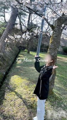 新潟風俗エステ La Muse(ラミューズ) せりな(24)の4月20日写メブログ「りぬーある3日目⤴️」