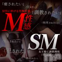 長野風俗エステ salon Ajna(サロンアジュナ)の10月23日お店速報「SM女王【雨宮れいこさん】出勤！！！」