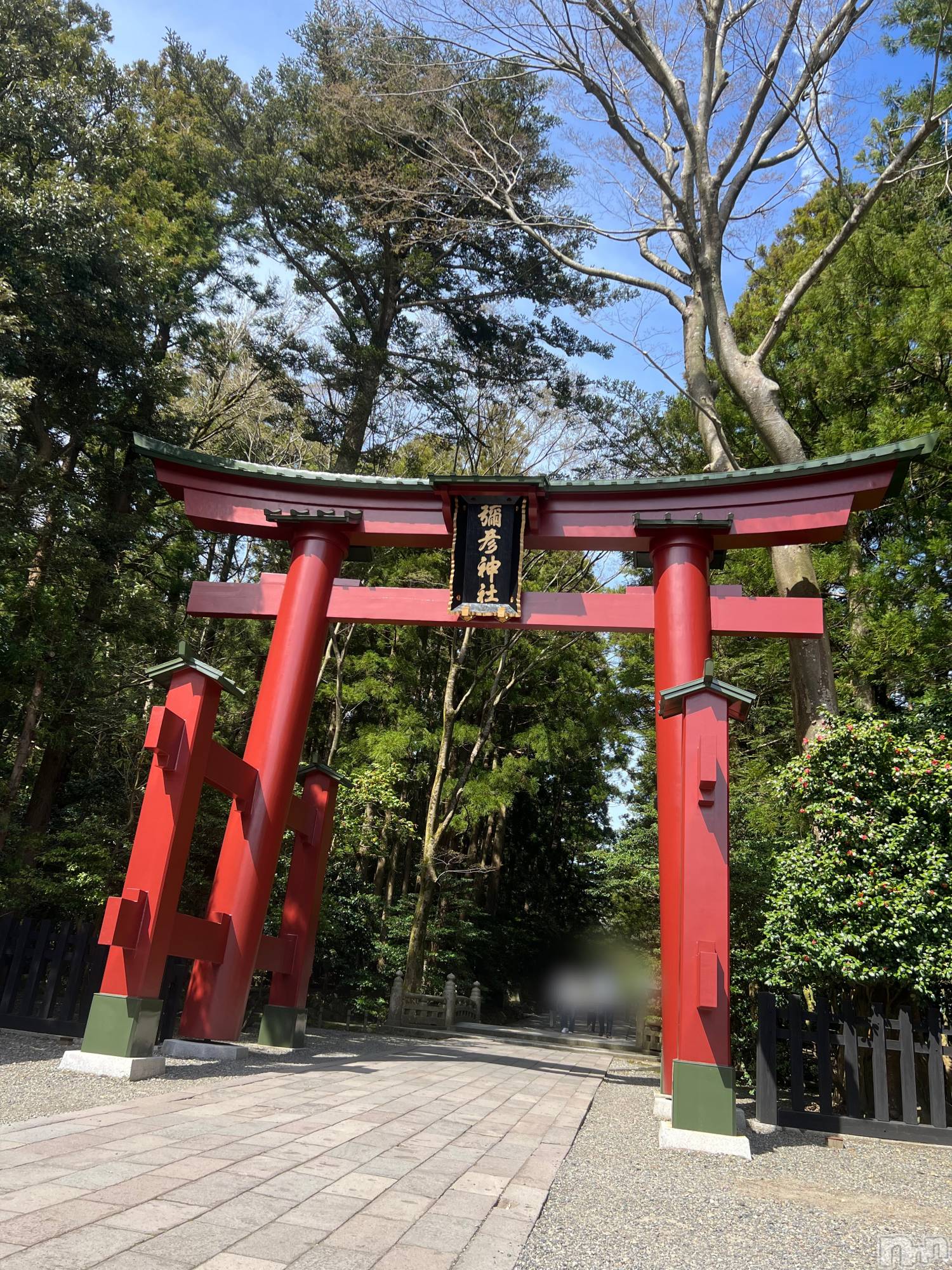 長岡デリヘルMimi(ミミ)りんか(22)の2026年4月12日写メブログ「今日から出勤🌟」