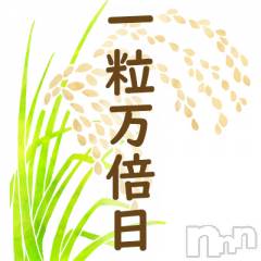 三条デリヘル人妻じゅんちゃん-出稼ぎ0！地元の奥様専門-(ヒトヅマジュンチャン) 柏木みさと☆超スレンダー(37)の12月12日写メブログ「買ってみたけど当たるかな？」