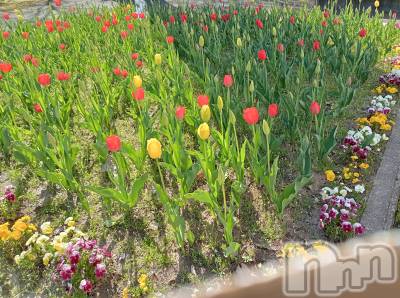 三条デリヘル 人妻じゅんちゃん-出稼ぎ0！地元の奥様専門-(ヒトヅマジュンチャン) 柏木みさと☆超スレンダー(37)の4月18日写メブログ「あと今月は…」