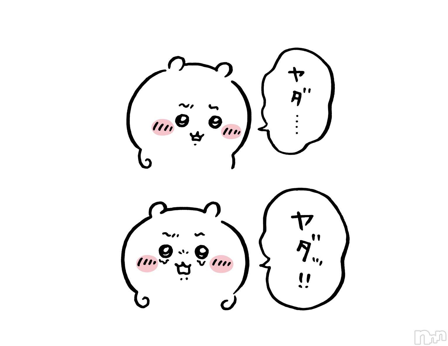 Х顦Lune LYNX(롼󥯥) 2024ǯ531̥֥😇