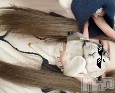 Х顦Lune LYNX(롼󥯥) ߤ520̥֥🧐