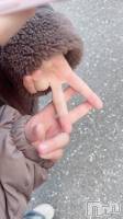 ˬХ顦  ץ ˬ( ץ )   122̥֥֤Ф