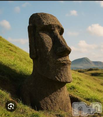 �Ϥ뤭����������(�ҥߥ�) ��Ĺ165cm��Ĺ�����������襳��ѥ˥��󥯥�� ���򥳥�ѥ˥��󥯥�� Amour(���ࡼ��)���ҡ�