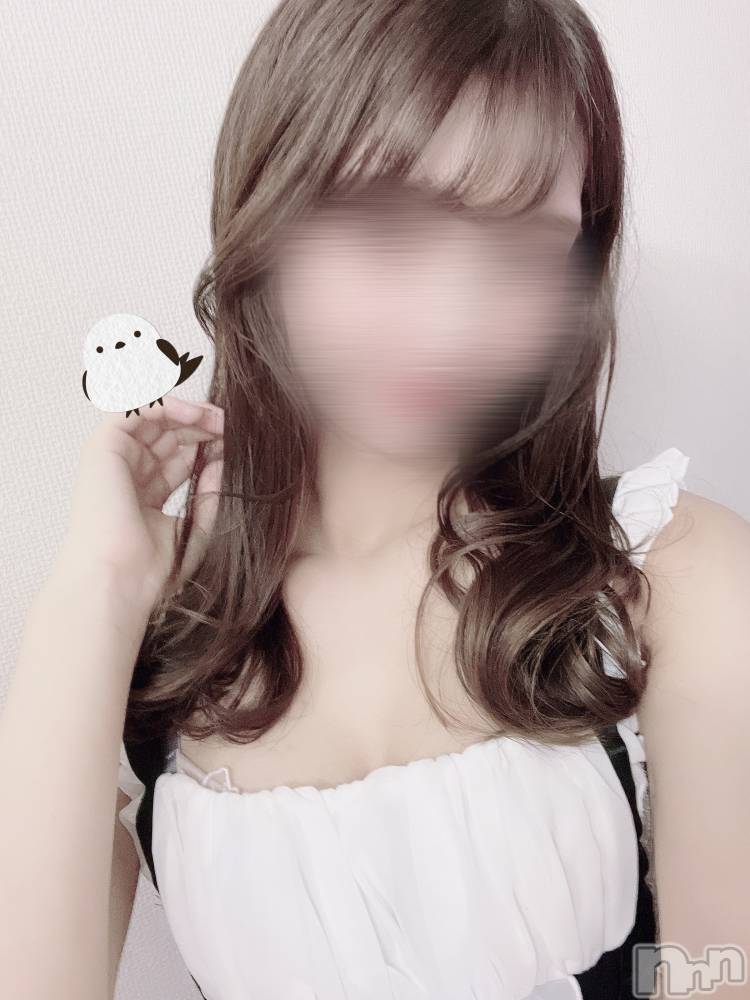 㡦ȯĥꥢ󥺥Ƥޤơ(ޥƥåȥ˥) ͫߤ椦1124̥֥äƤ͡