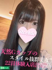 長岡デリヘルROOKIE(ルーキー)の6月9日お店速報「史上最高のGカップ美巨乳美女『まあやちゃん』本日最終日です」