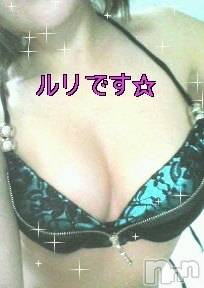 長岡デリヘル(ルーキー)の2008年12月16日お店速報「本日の写メ日記はるりちゃん」