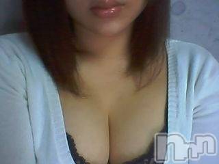 長岡デリヘル(ルーキー)の2008年12月17日お店速報「本日の写メ日記はみほちゃん」