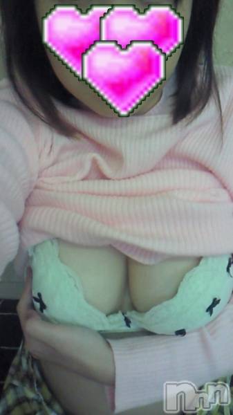 長岡デリヘル(ルーキー)の2008年12月19日お店速報「本日はなぎさが担当しまぁ～す」