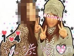 長岡デリヘル(ルーキー)の2009年3月1日お店速報「３月３日～の体験入店の女の子１名決定！！」