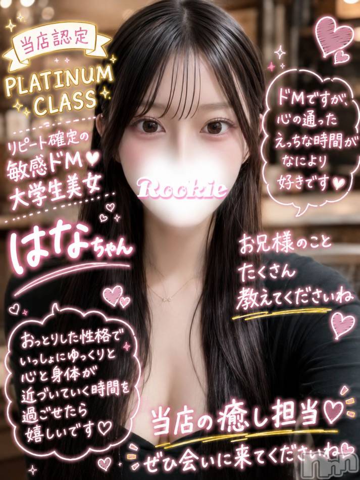 長岡デリヘル(ルーキー)の2026年7月2日お店速報「✨ リピート続出！ 癒し系大学生美女 はなちゃん ✨」