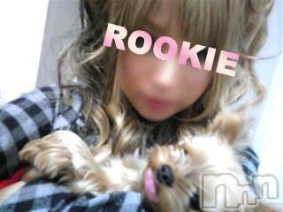 長岡デリヘル(ルーキー)の2009年12月5日お店速報「☆ＲＯＯＫＩＥ体験入店情報☆」