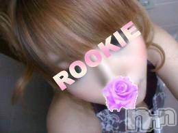 長岡デリヘル(ルーキー)の2010年1月12日お店速報「本日１２日（火）♪体験入店の女の娘１名出勤☆」